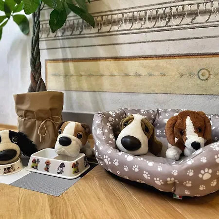 Residenza Dula Arezzo